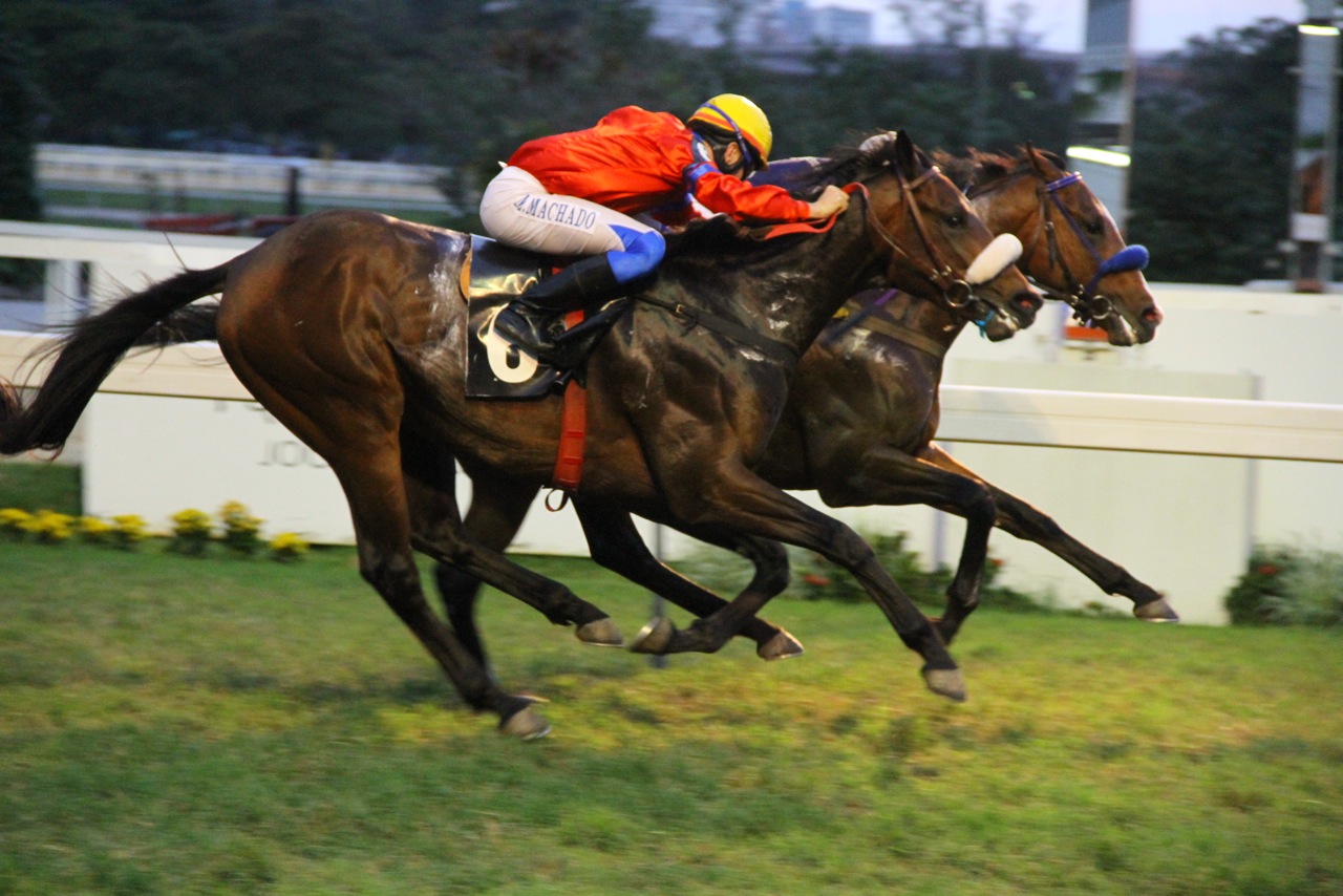 Prova Especial Gustavo Philadelpho Azevedo: Hard Trick vence de ponta a ponta
