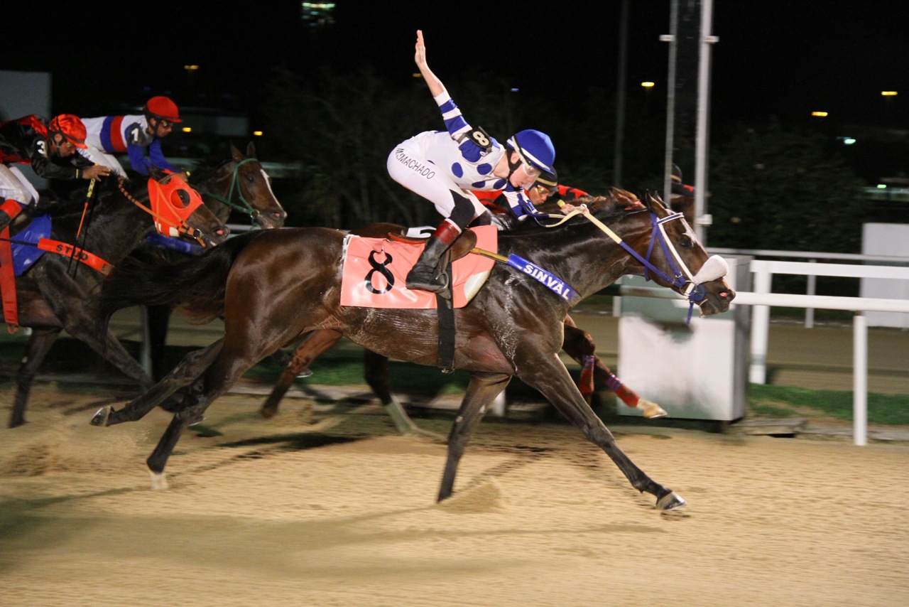 Invencible Hill vence o páreo de melhor índice técnico da noturna desta segunda