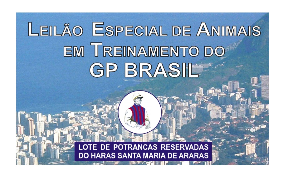 Nesta 4ª feira – Leilão Especial de Animais em Treinamento