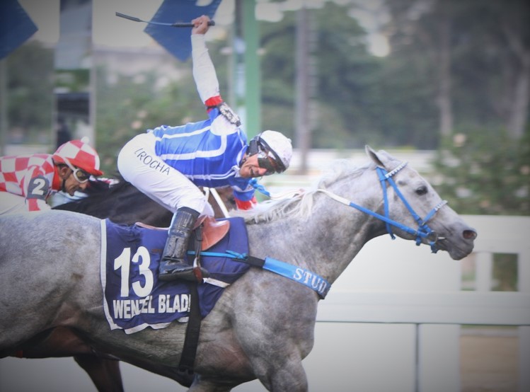 Fenômeno: Wenzel Blade atropela bonito e conquista o Grande Prêmio Major Suckow (GI)