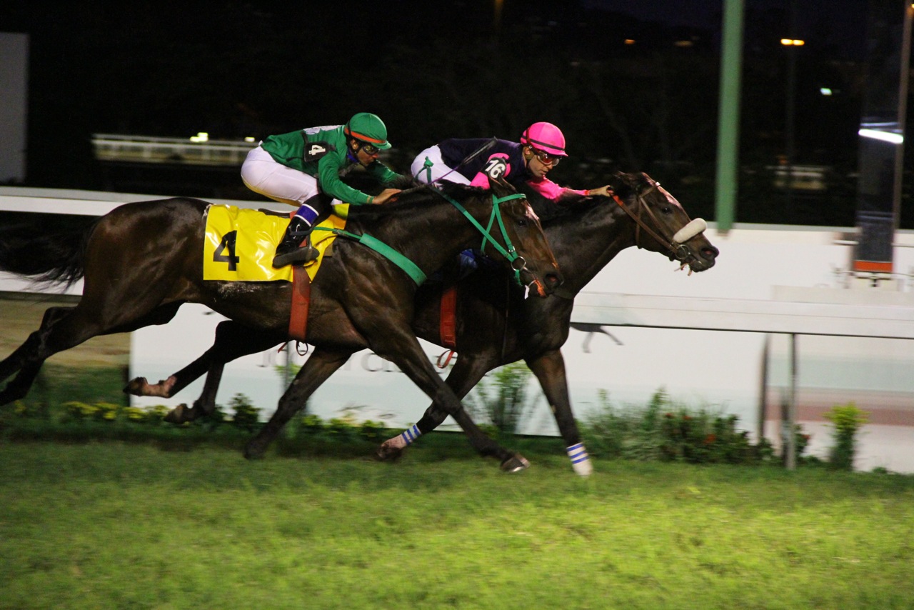 Capitólio conquista a Prova Especial Quick Chance