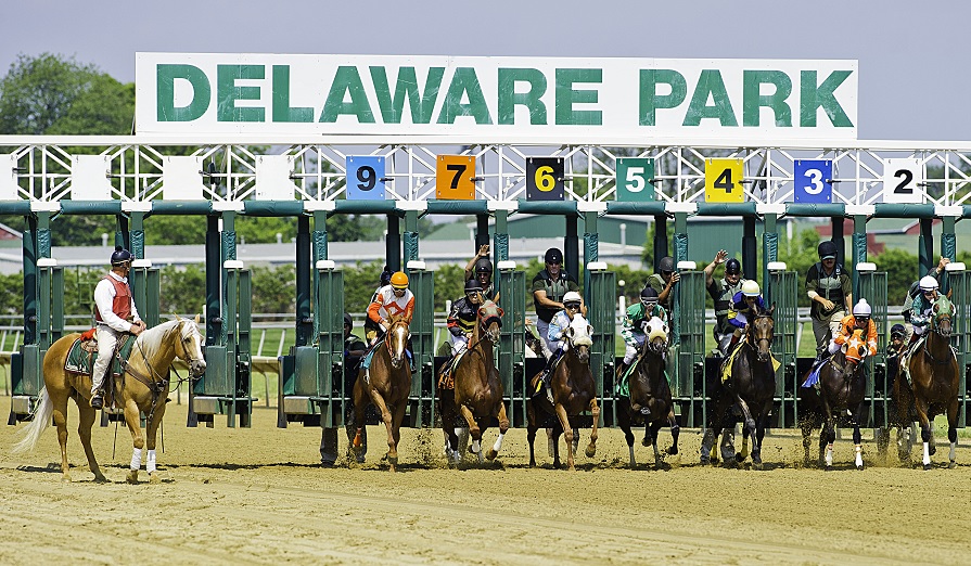 Indicações de Delaware Park, por André Rodrigues – SEGUNDA (04)