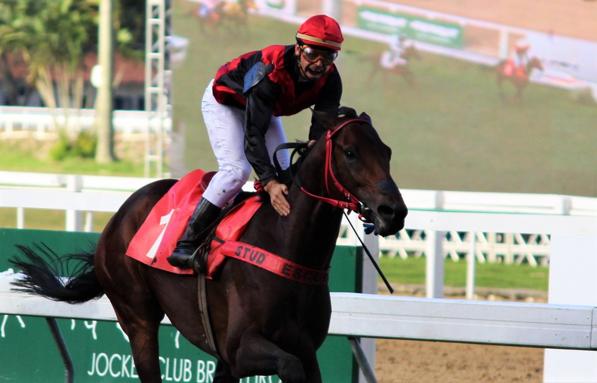 Demon Master supera favoritos e leva o Grande Prêmio Dezesseis de Julho (GII)