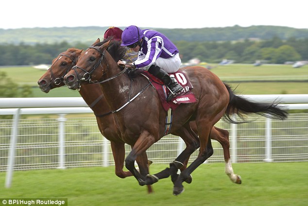 Turfe internacional: The Gurkha vence Galileo Gold no Sussex Stakes (GI), na Inglaterra
