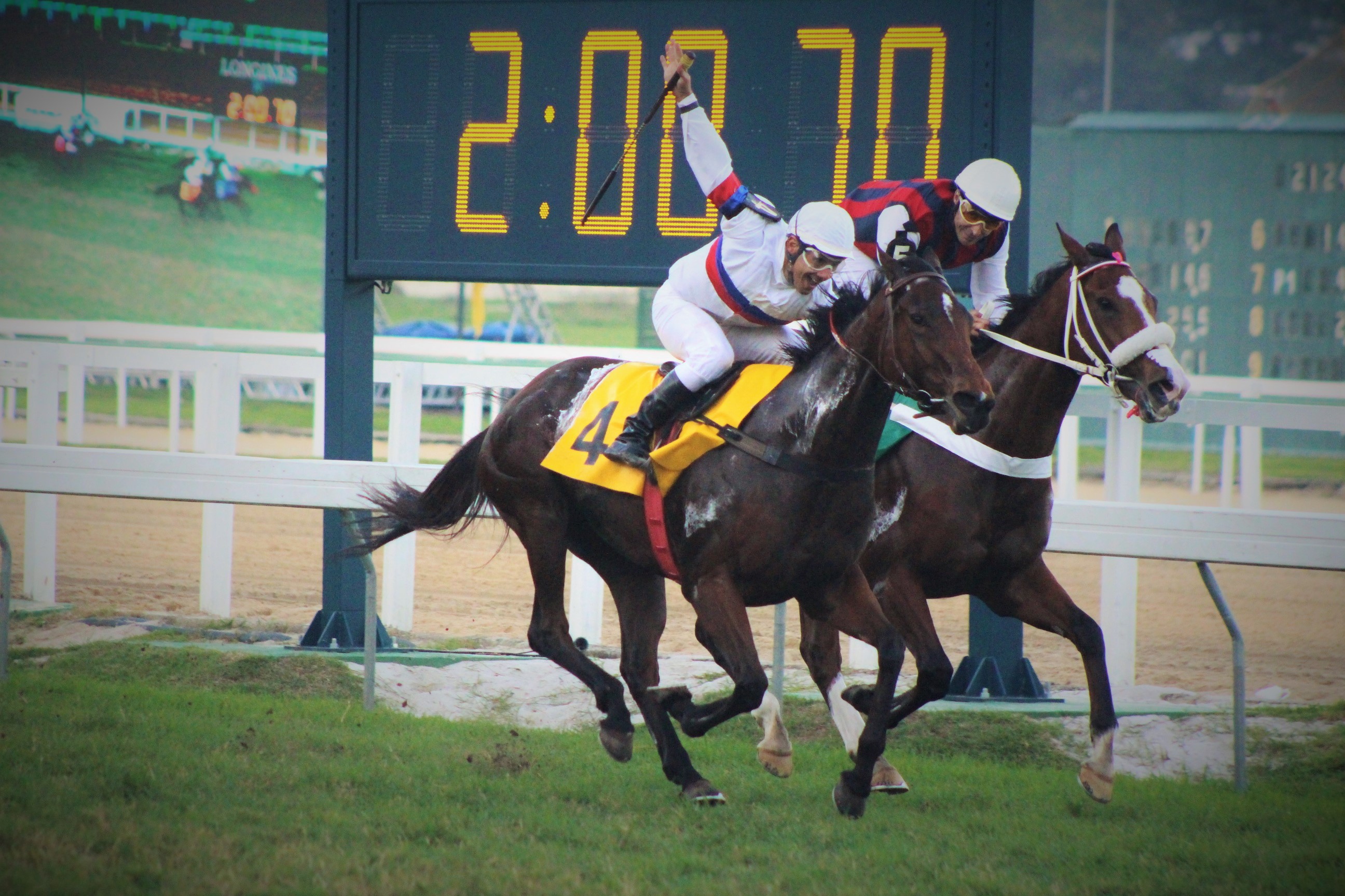 Lady Charlotte vence GP Adayr Eiras de Araujo (GII) e confirma boa fase do Haras Doce Vale