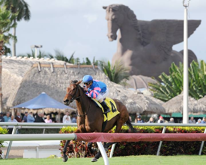 Turfe Internacional: Pegasus World Cup será prova de graduação máxima