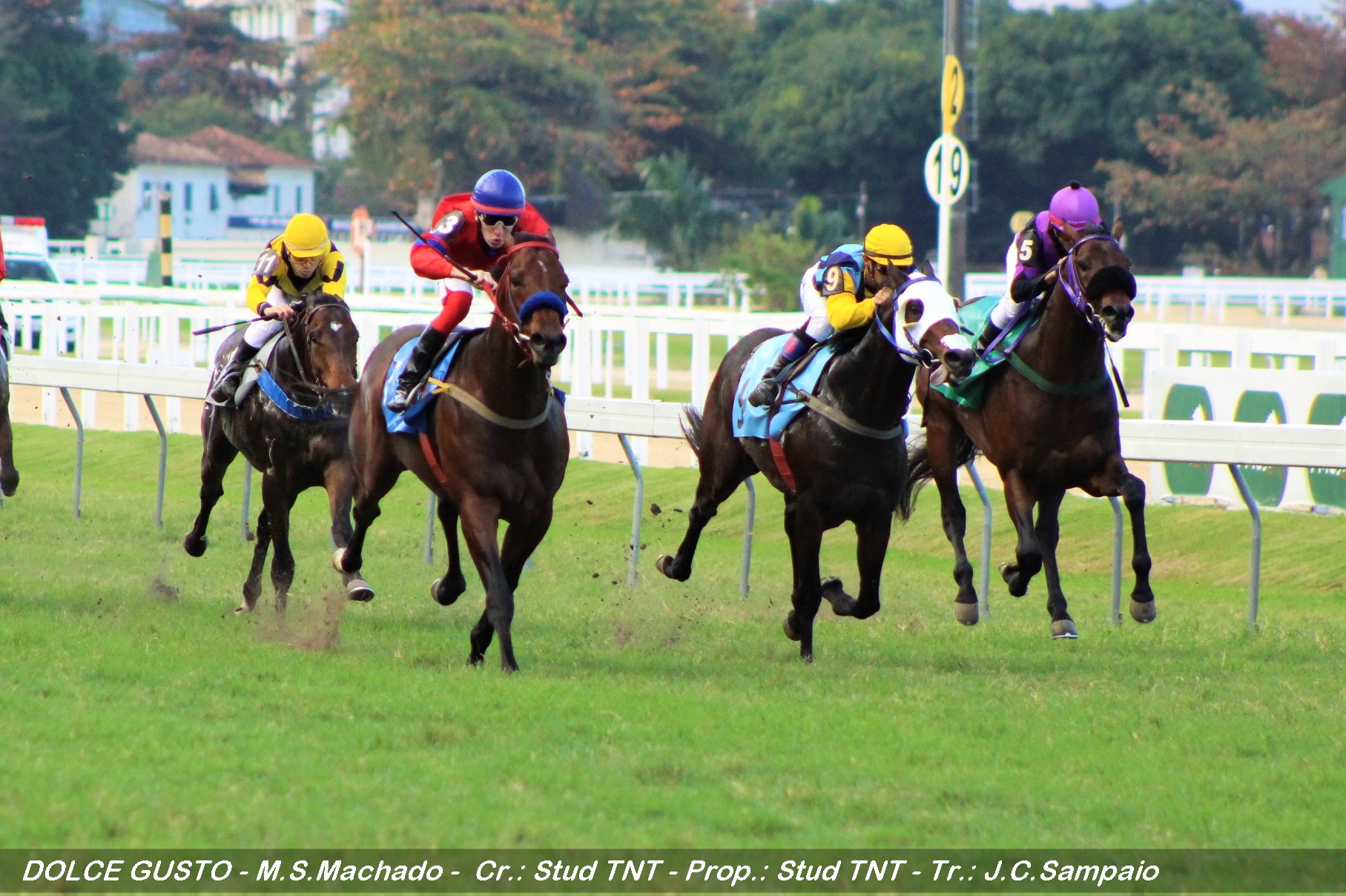 Prova especial e mais 39 páreos no final de semana do Hipódromo da Gávea