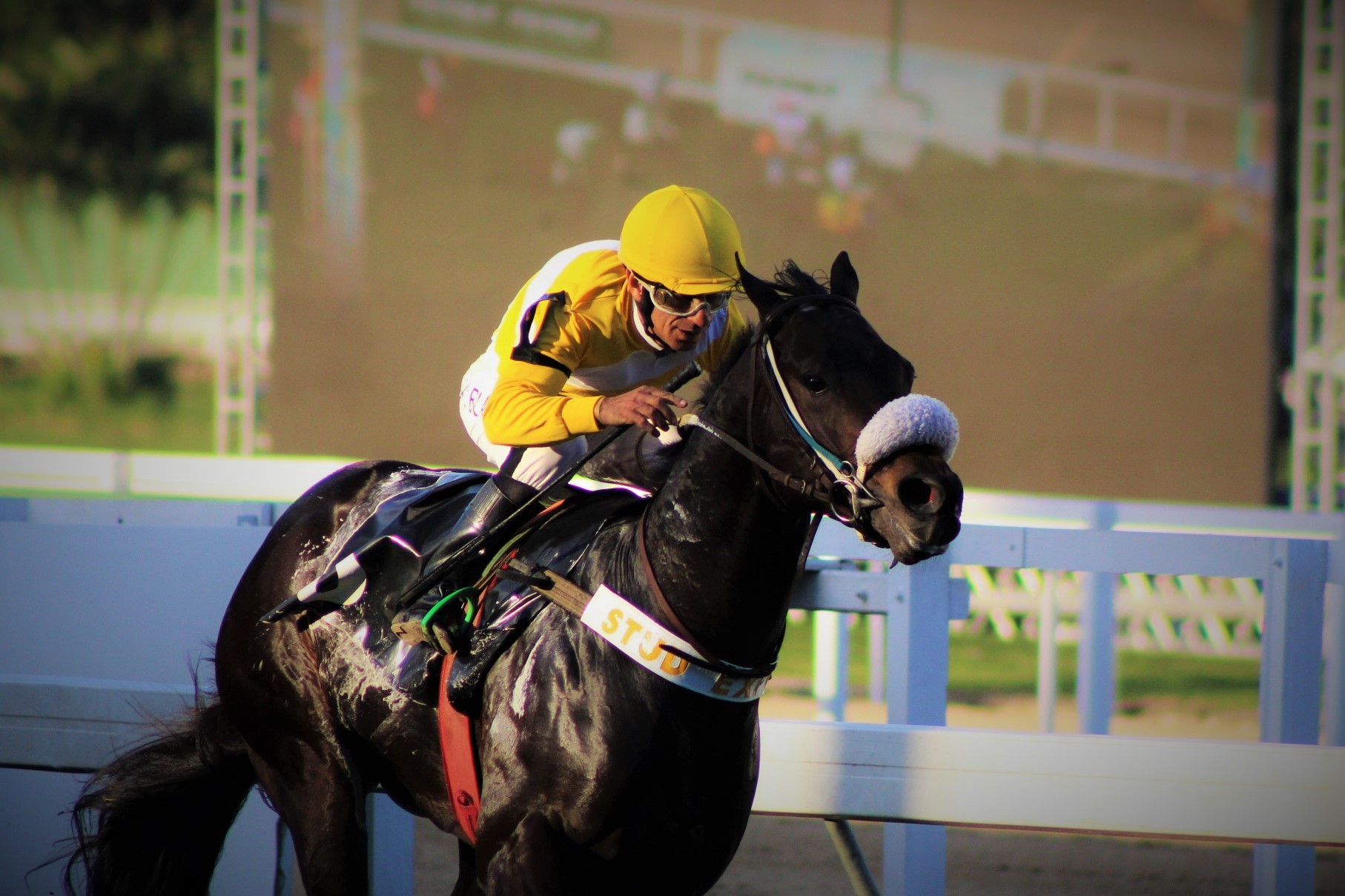 No talento de W. Blandi, Yankee Bullet leva de ponta a ponta a Prova Especial Hyperio