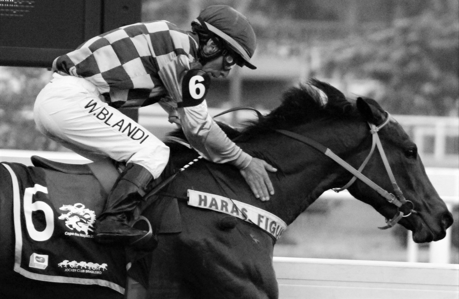 Ixquenta vence o Grande Prêmio Roger Guedon – Copa das Nações (GIII) e segue invicta