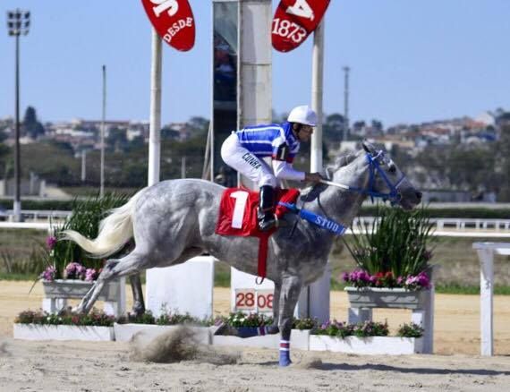 Wenzel Blade vence o Clássico Ciro Frare (L); Cabin Sky e Xaxexixoxu conquistam as milhas clássicas