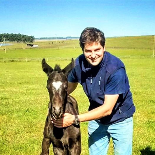 Maravilhas do esporte – Potro filho de Glória de Campeão nasce no Haras Bagé do Sul com coração carimbado na testa