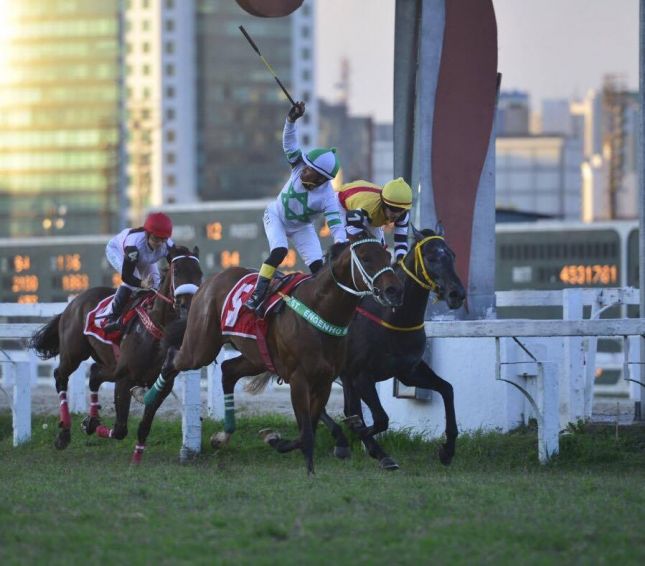 Em final de rigor, Easy To Love bate Kiwi Green Suite no “Ipiranga”