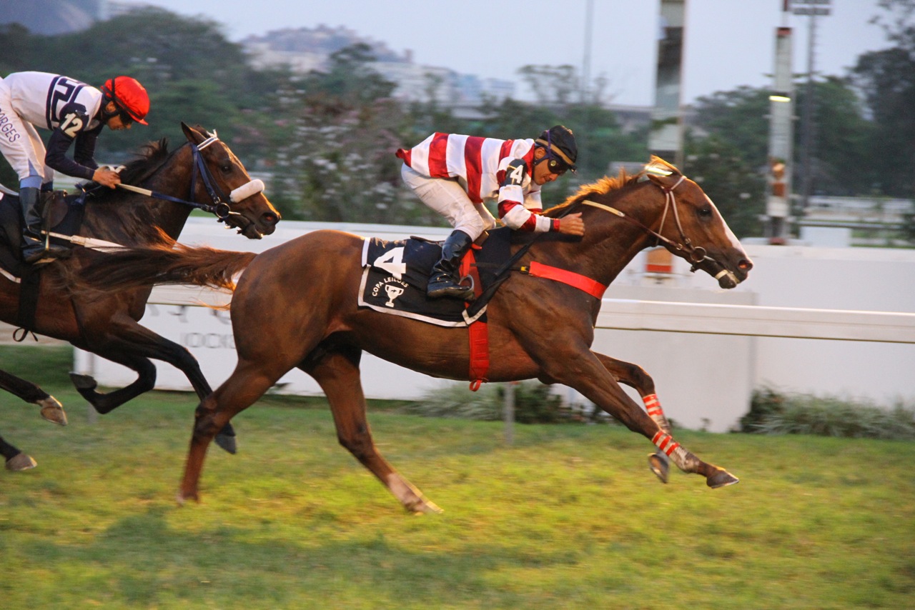 Após atropelada violenta, Energia Impact conquista a Copa Leilões Jockey Club Brasileiro de potros