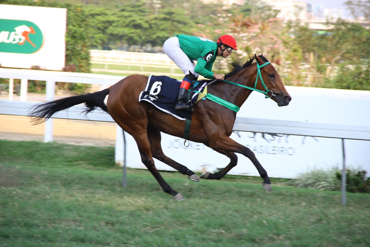 Etapa Vencida confirma favoritismo e leva a Copa Leilões Jockey Club Brasileiro de potrancas
