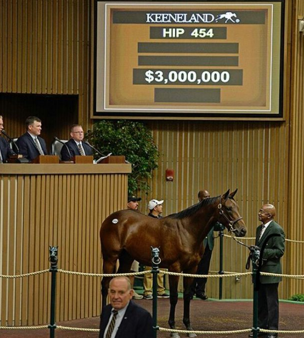 Mercado: em Keeneland, irmão de Beholder alcança preço de US$ 3 milhões