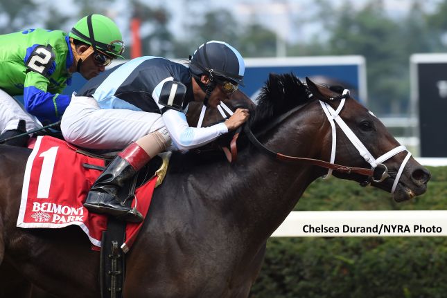 Brasileiro Baccelo perde a primeira nos EUA; Comfort leva o Seattle Slew Stakes