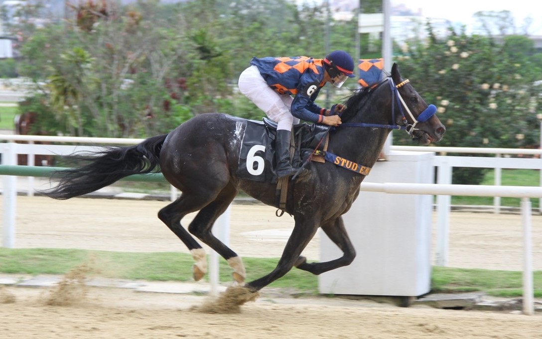 Galeria de fotos – Confira os vencedores deste DOMINGO (09) no JCB