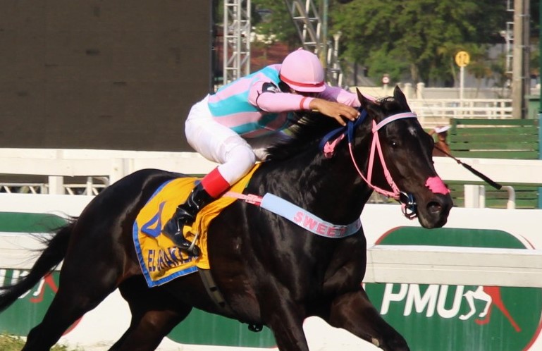 I. Correa brilha e leva El Shaklan à vitória no GP Linneo de Paula Machado (GI)