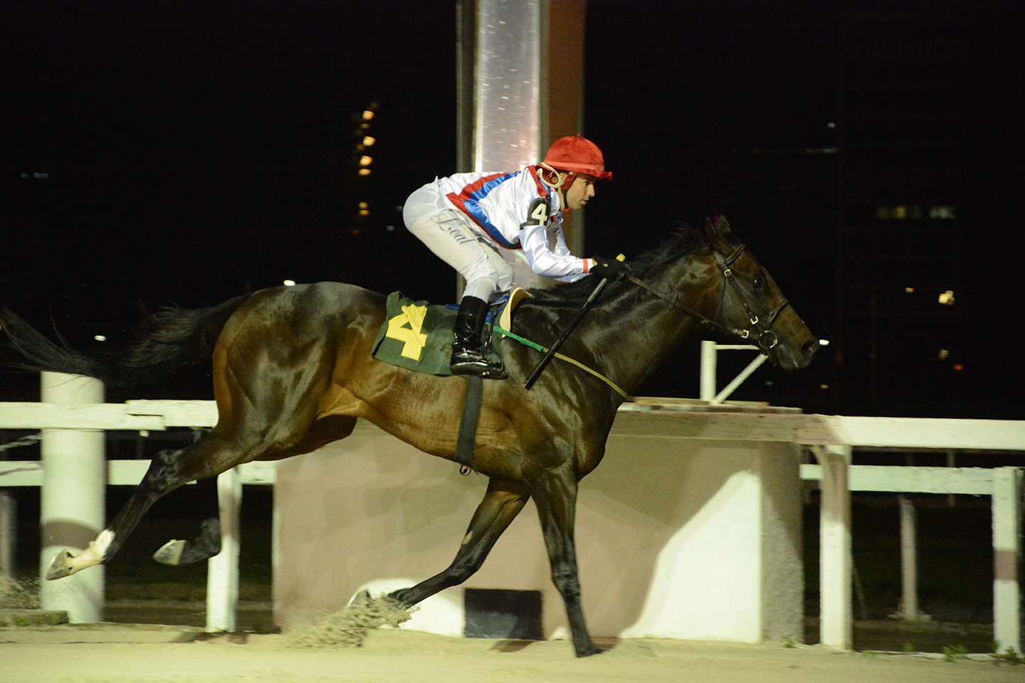 Cidade Jardim: Vettori Kin vence com tranquilidade GP Linneo de Paula Machado (GIII)