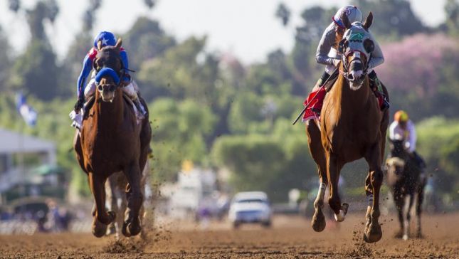 EUA: California Chrome mostra forma para a Breeders’ Cup