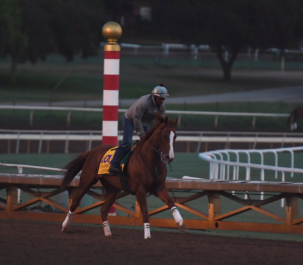 Breeders’ Cup: maior estrela da festa, California Chrome chega a Santa Anita Park