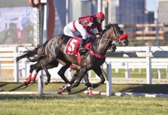 Salto Olímpico supera Maraton no GP Jockey Club de São Paulo