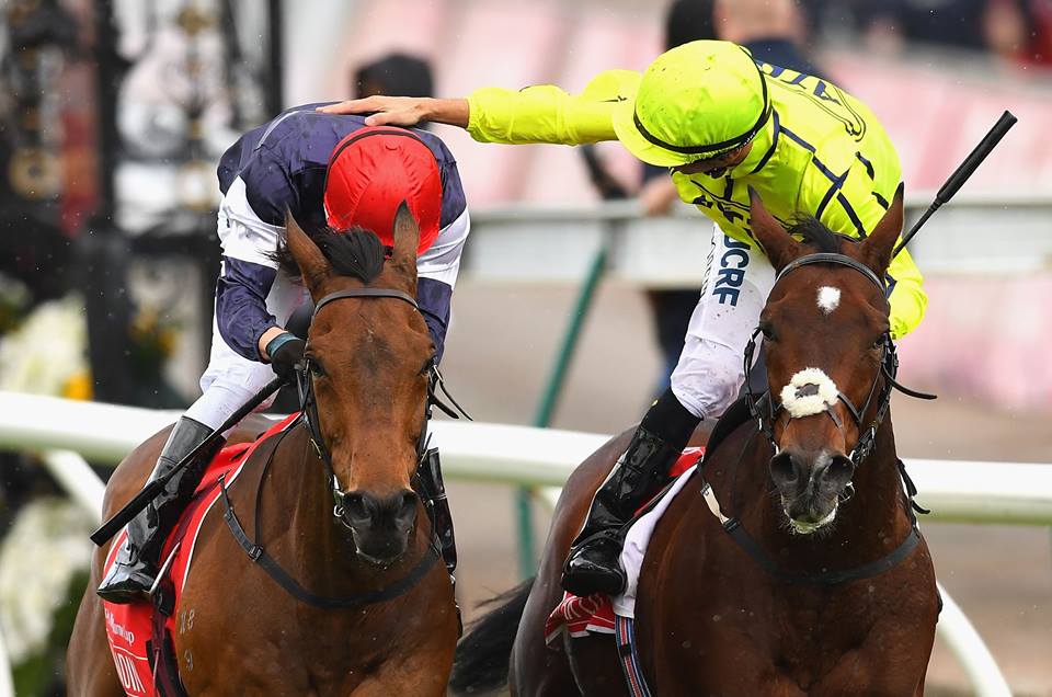 Almandin faz brilhar a criação alemã na Melbourne Cup; Moreira tira segundo