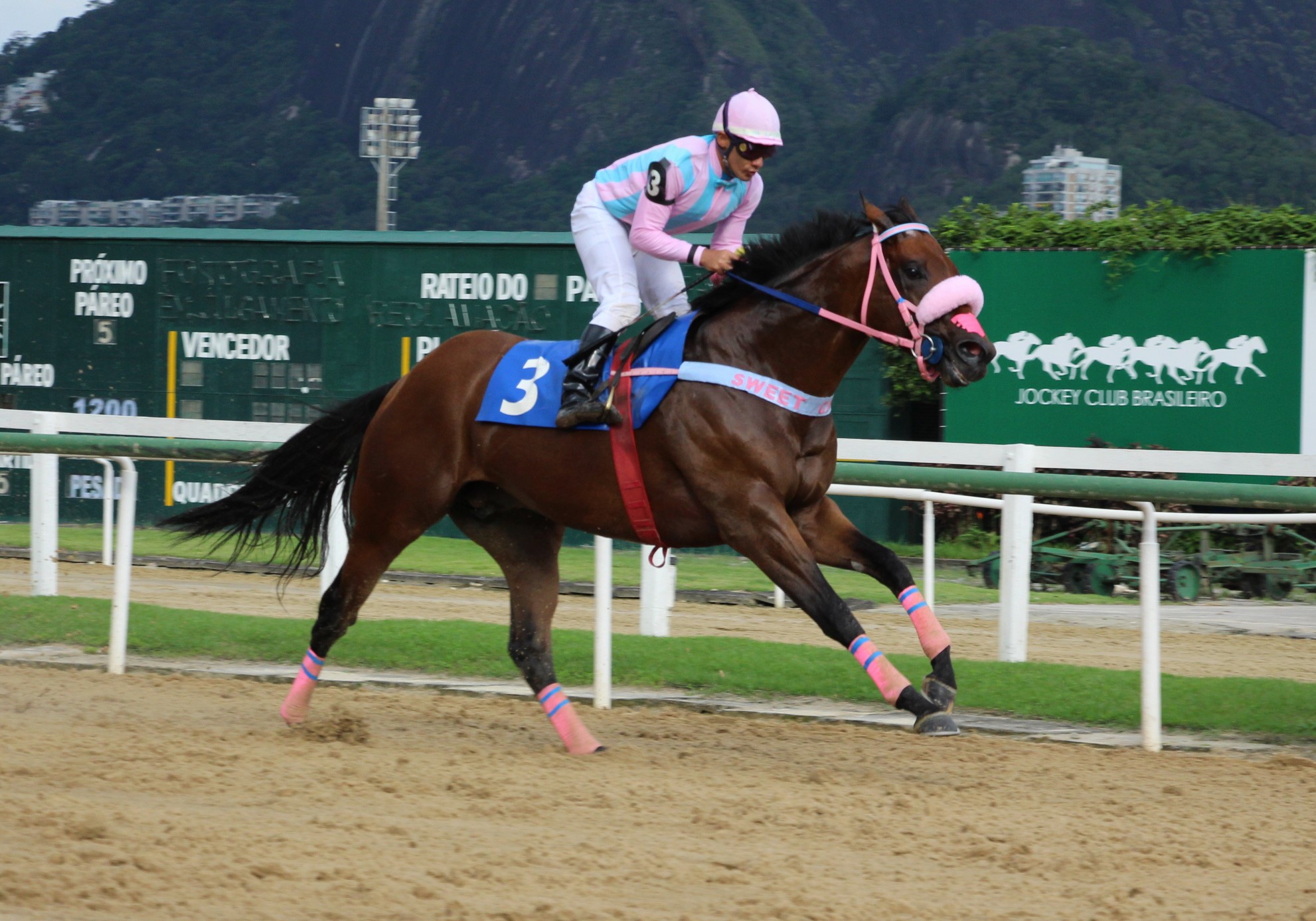 Chronnos brilha e vence o Grande Prêmio Hipódromo da Gávea 90 anos – Taça Público Turfista (GIII)