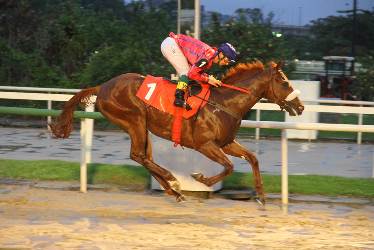 Com autoridade, King David reina absoluto no GP Frederico Lundgren (GIII)