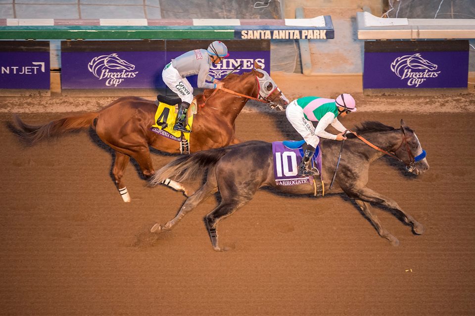 Arrogate supera California Chrome e conquista a Breeders’Cup Classic 2016