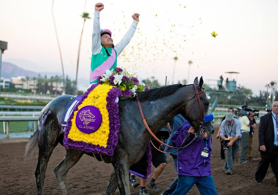Longines World’s Best Racehorse Ranking: Arrogate, o melhor do mundo