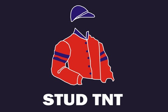 Leilão do Stud TNT  nesta quinta-feira (24) a partir das 20h45
