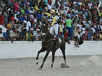Capanegra confirma favoritismo e vence, pela segunda vez, o GP Bento Magalhães