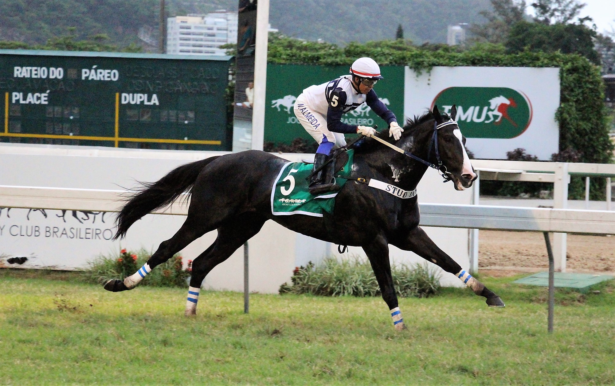 Fidedigno derrota favorito Daniel Boone e conquista o GP Júlio Capua (G3)