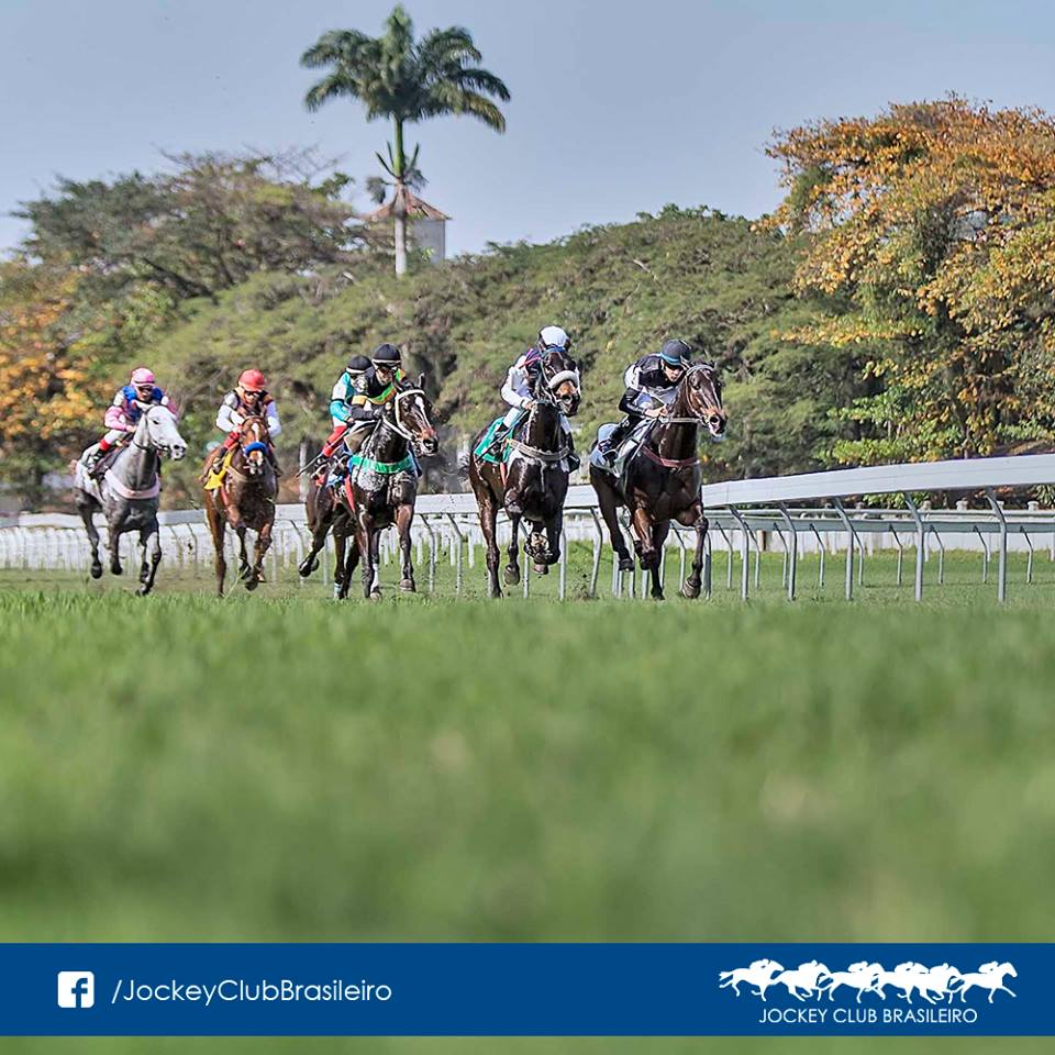 Indicações da Gávea, por André Cunha, Celson Afonso, Diego Guedes e Lucas Eller – DOMINGO (16)