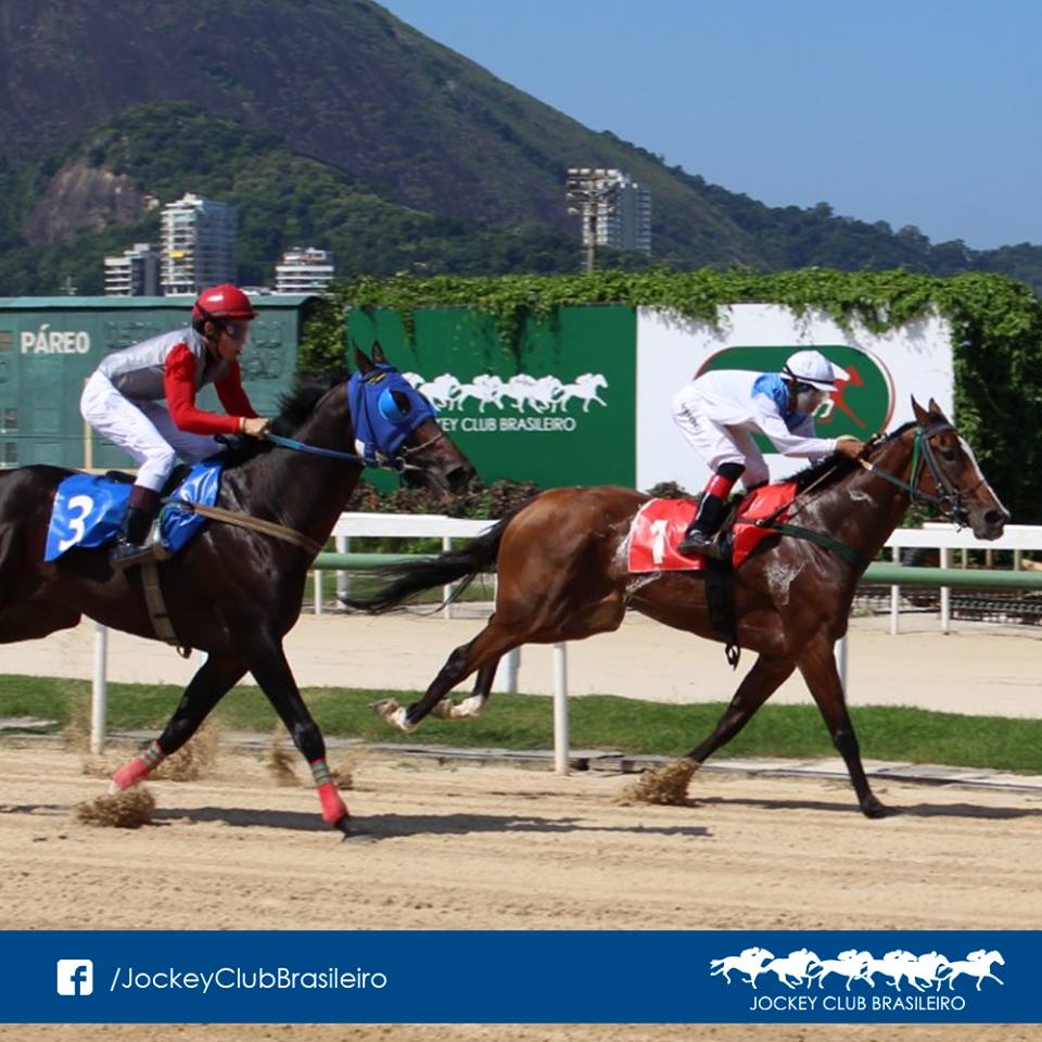 Indicações da Gávea, por André Cunha, Celson Afonso, Diego Guedes e Lucas Eller – SEXTA (07)
