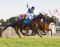 Sixties Song e a glória do GP Carlos Pellegrini (G1)