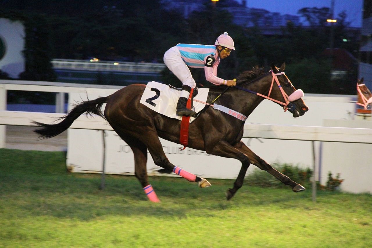 Galeria de fotos – Confira os vencedores do DOMINGO (22) no JCB