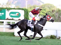 ADDEDs – GP Henrique Possolo (G1) – 1ª Etapa da Tríplice Coroa de Potrancas