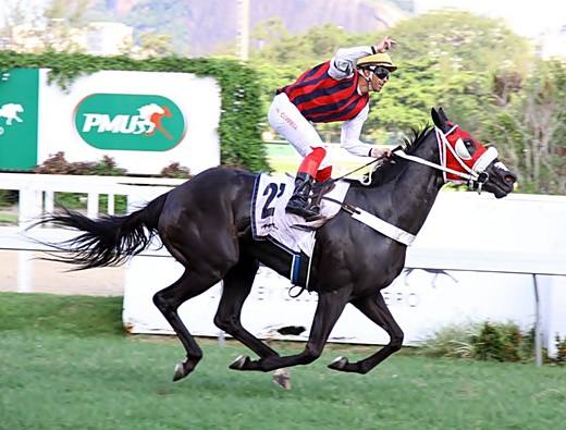 GP Henrique Possolo tem campo cheio e equilibrado