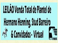 Hoje, 26/01, Leilão Especial Venda Total do Plantel de Hermano Henning, Stud Barreiro & Convidados