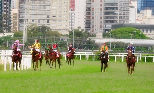 Cowboy Purse, Knight Of Glory e Grécia Central levam as melhores provas de São Paulo