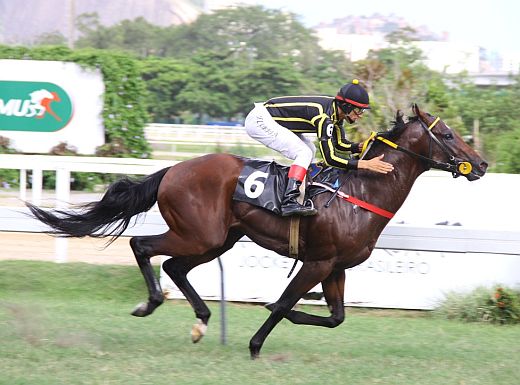 Thunder Cat é o cavalo a ser batido na Copa ABCPCC Velocidade – Mario Belmonte Moglia (G3)