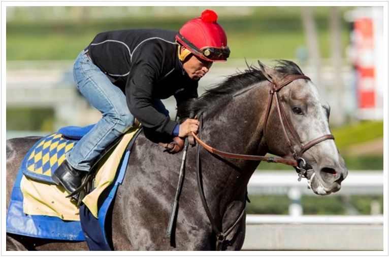 Pegasus World Cup: Arrogate trabalha em Santa Anita