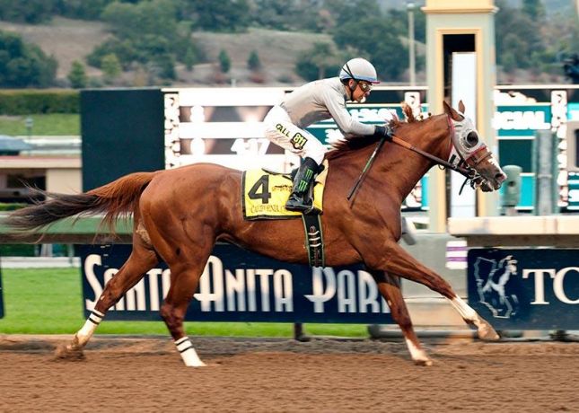 Pela segunda vez, California Chrome é o “Cavalo do Ano” nos Estados Unidos