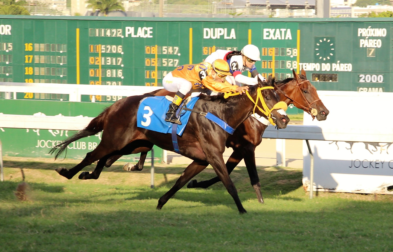 A vitória da ousadia: Knowing, do perdedor ao GP Diana (G1)