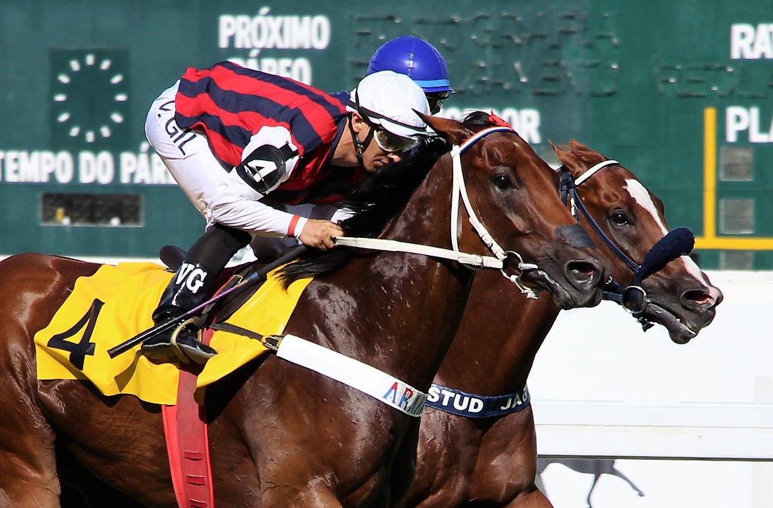 Double Talk supera Consul American na P.E. African Boy