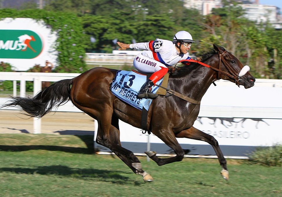 Maiores ratings – Temporada 2016/2017