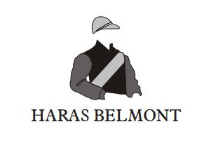 Hoje Leilão do Haras Belmont