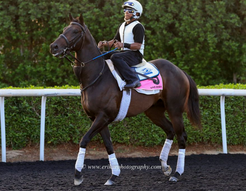 No sábado, Vettori Kin encara o UAE Derby (gr.II) em Meydan